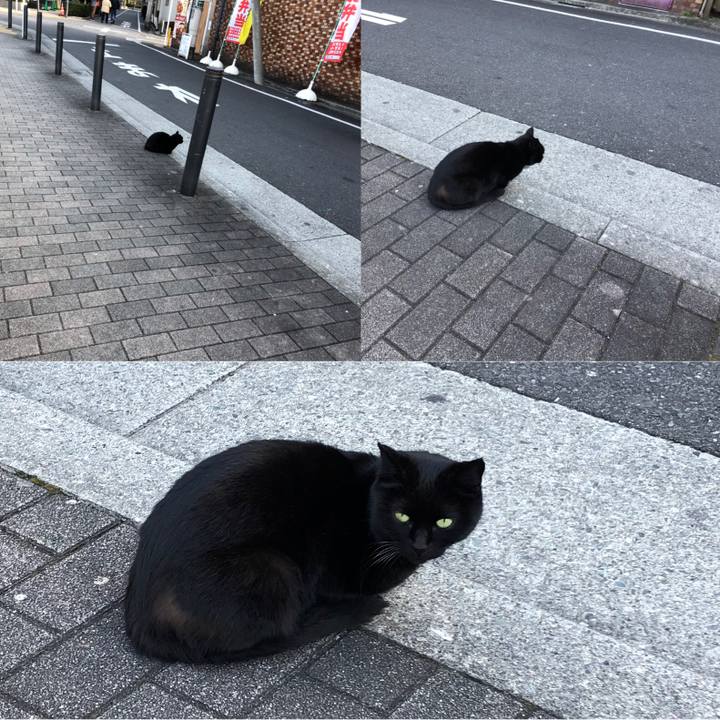 659e4085 ba74 481e a3d3 b5156341eeab 1643451168149