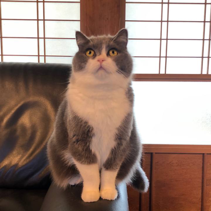 659e5032 839a 4fd6 a59c e3152830a0c6 1587770738818