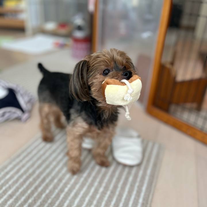 659e57c2 dbfa 4e60 a780 226de5c1473d 1697854444631