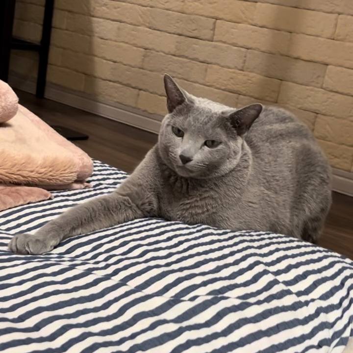 659e7f41 5714 4ac6 b0c0 2844032bc69f 1740835881572