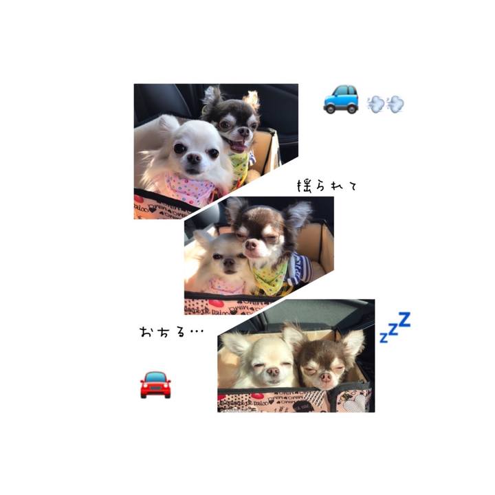 659e8436 dc24 43b7 ad49 e011fd19bd1f 1509583995980