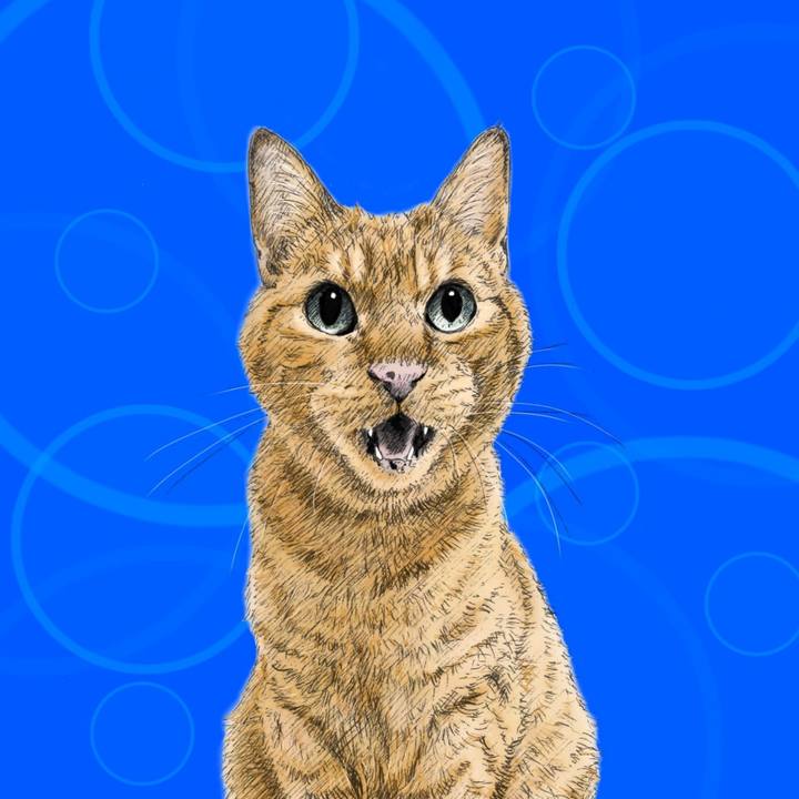 659e9dee 2384 43b7 a975 1ec82d87f1d4 1572272597625