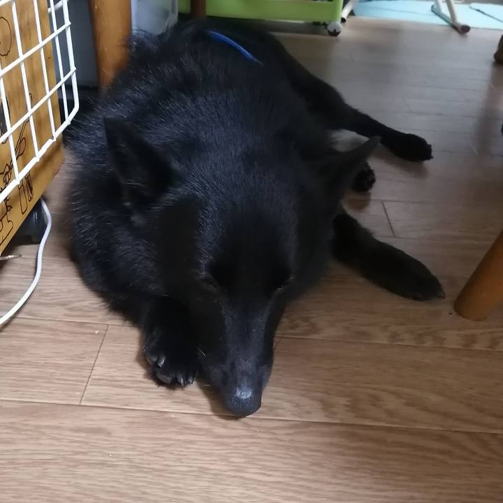 659ea067 e8c5 4386 97a8 499c2a5afb0c 1631449927096