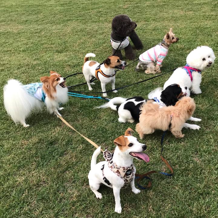 659f0f0b 3e38 4cad 8493 4aaf5eac7d08 1601722256206