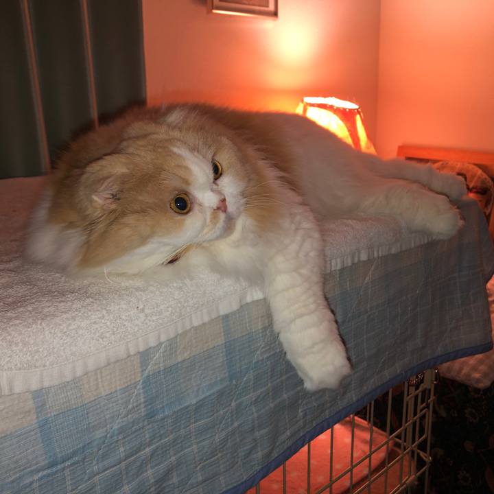 659f2213 e765 4f52 8158 f5f67eb8e45e 1609851604433