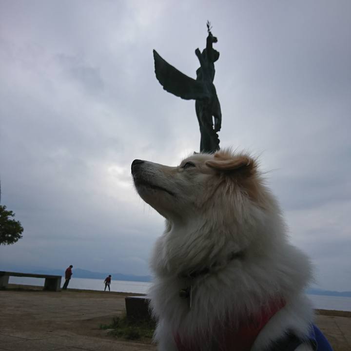 659f5500 baac 4bb5 b2dc 018e3c8cccc1 1507696914882