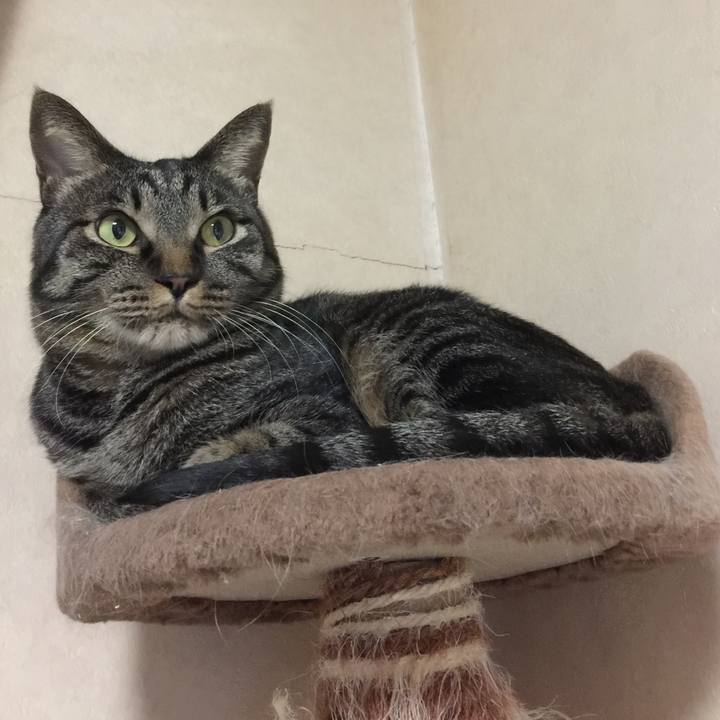 659f5cd4 59d2 43d0 b031 412d7906bd9b 1536838730063