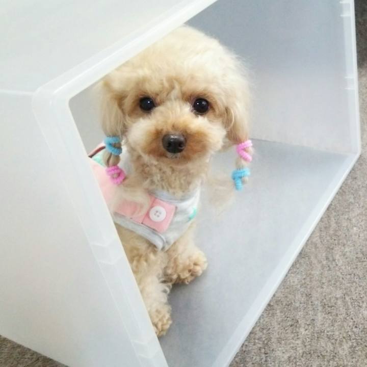 659f81cf 2c67 45a5 9d45 e7a6fd0576ae 1535532328749