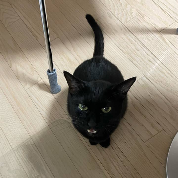 659f8b15 b23f 4c83 8c12 66313ec9253f 1756388424957