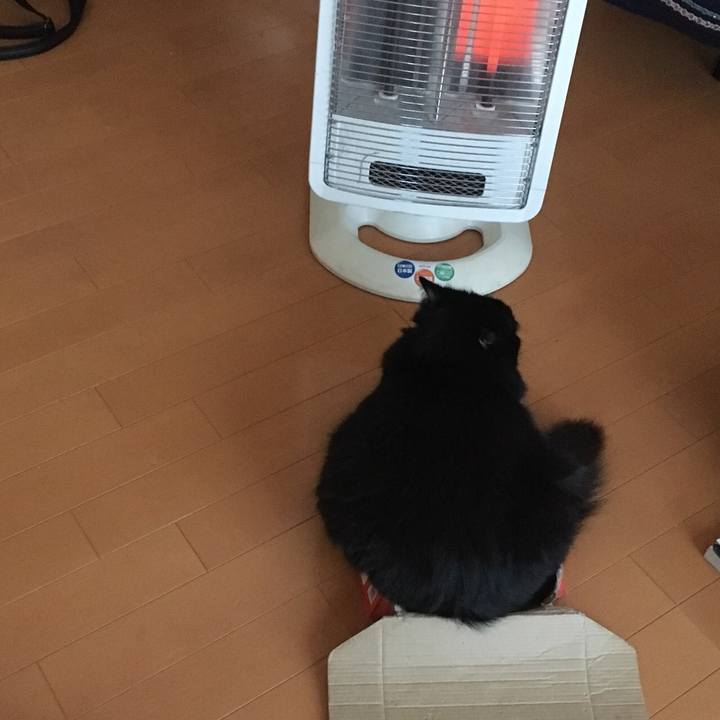 659fdf59 ac1c 48bb a749 78f4a5c9677c 1539738879516