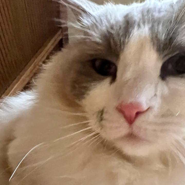 659fe377 3895 4570 9ec9 1b95a61acc7c 1644916715938