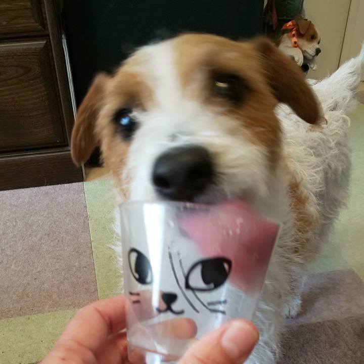 659ff902 7ddf 4b59 825e 712de92e5db5 1555629801445