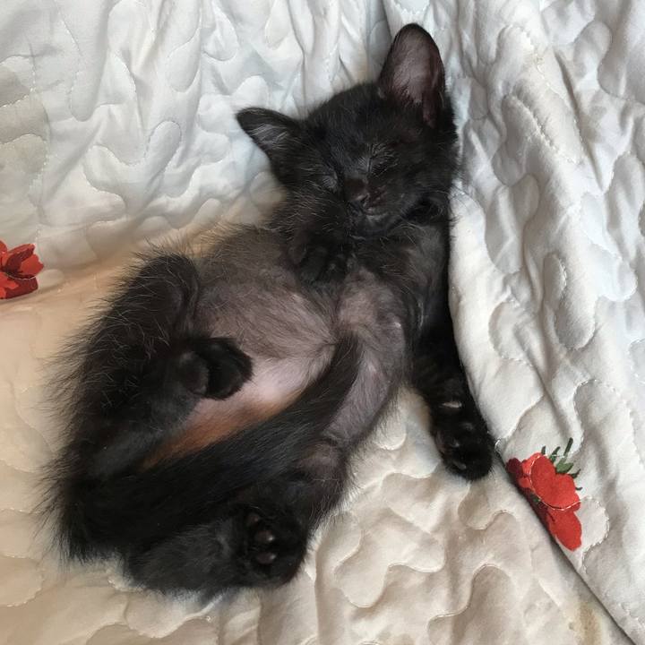 659ffc97 104b 4036 9b93 1781cd524254 1561456958768