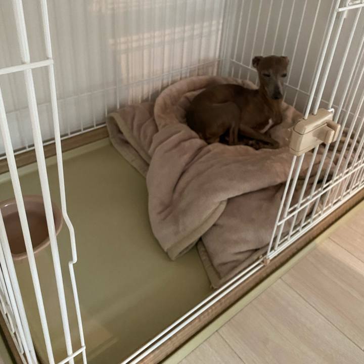 65a01b18 6e0b 4ac4 85c2 3085b91495a8 1766814141359