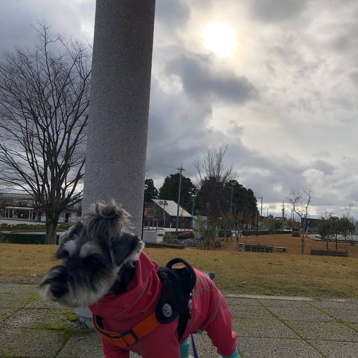 65a024c1 6e09 49dd 9fc2 972de2afc034 1701502121965