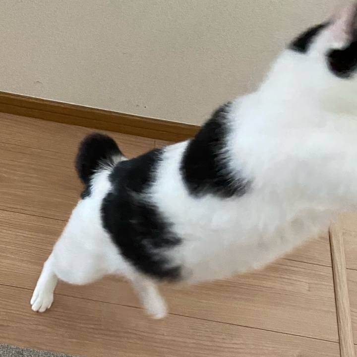 65a02522 b294 4527 b2c8 2711e643689f 1587165675412