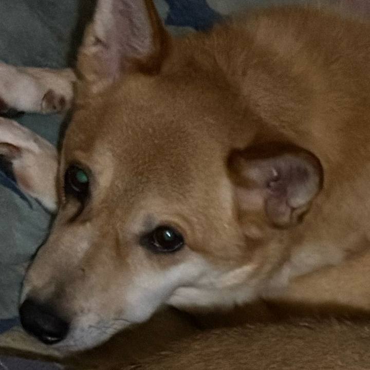 65a0445d 27a6 46fa 8633 8d2f7a8b5197 1751720010736