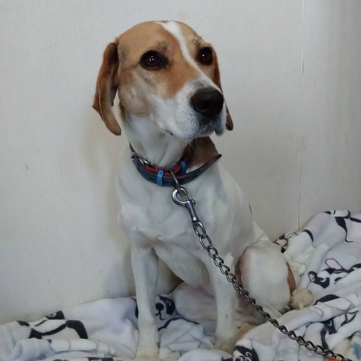 65a07cde 902c 4d0a a1e3 909d876c399c 1609305477414