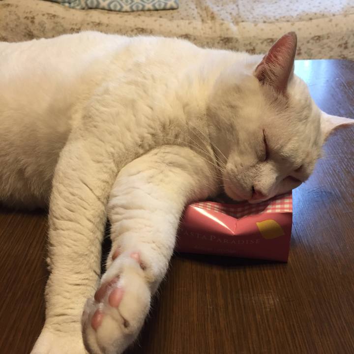 65a08603 ebca 44ac 9248 9ba5fdcae3b8 1531817238825