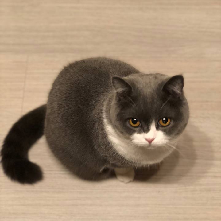 65a0939a 842d 4220 bf5e bcbbb12ffa97 1576918931949