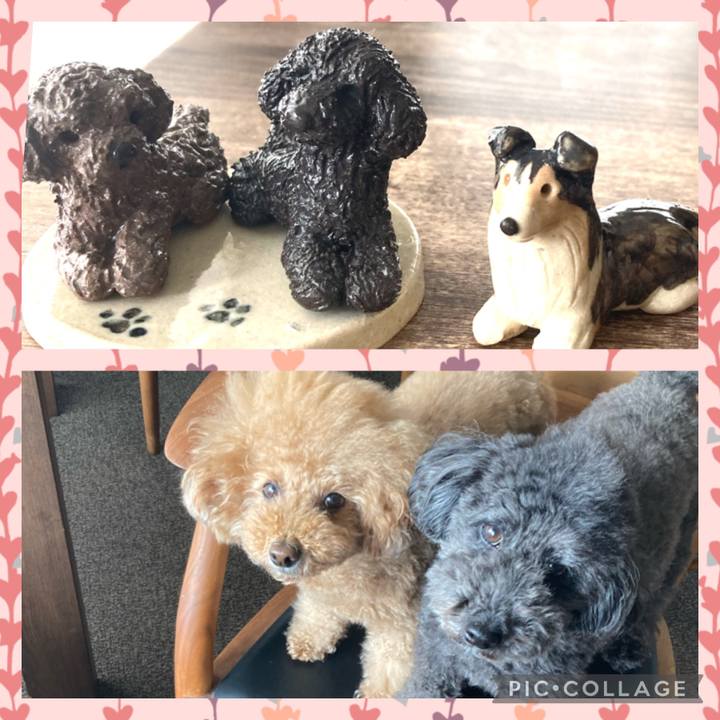 65a09e3c cff4 4207 8d10 64a493716d48 1677552047753