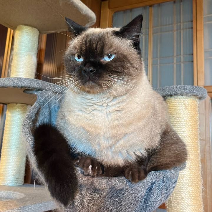 65a0a03e de10 4c50 98b6 82017b2ad7af 1695949053802