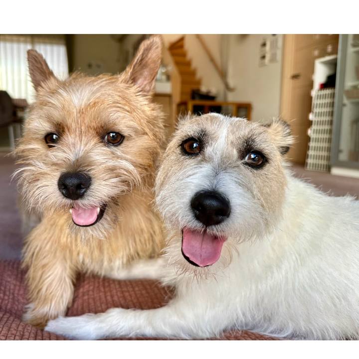 65a0d070 d778 4a0a 8c96 5ee174331b85 1749003667945