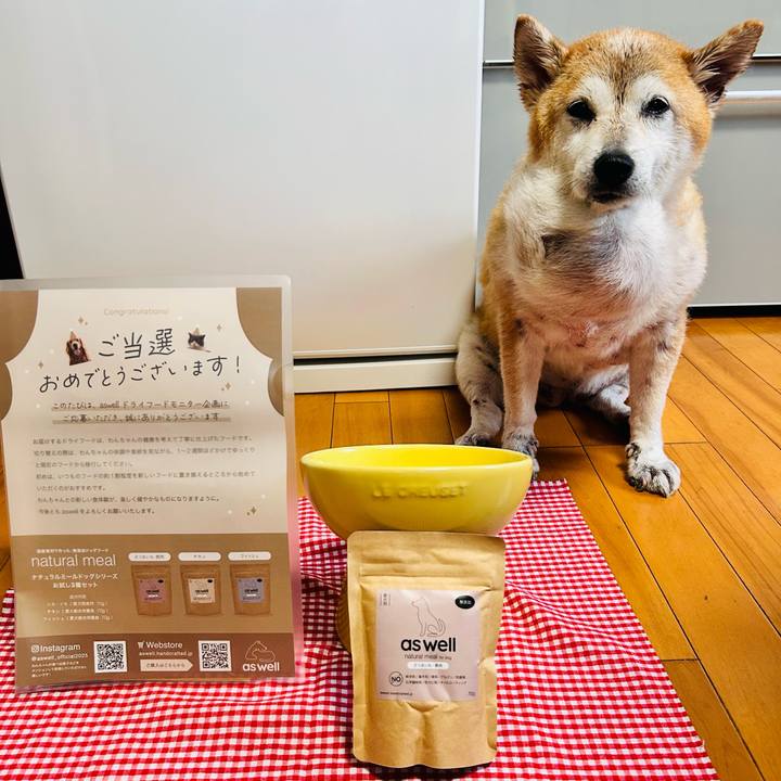 65a0dcc6 52f1 4897 8fc8 f6561510bde4 1760516971930