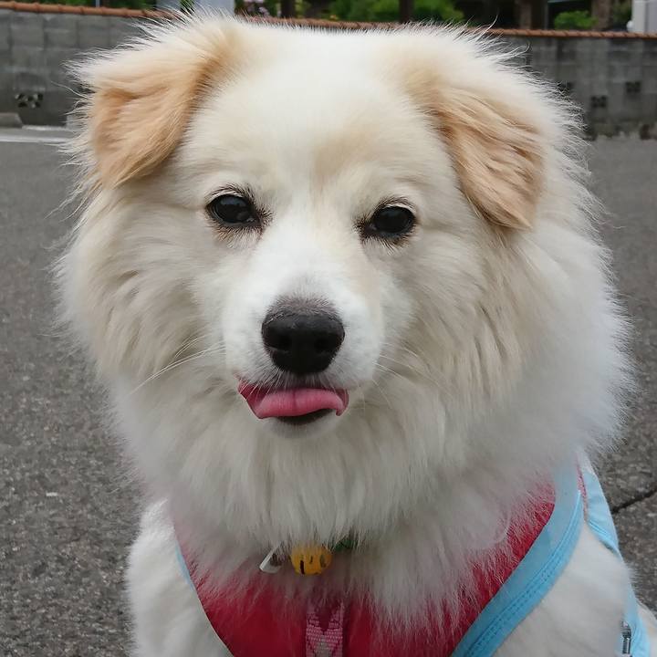 65a126e4 0301 4e6e bf5c a14f29f188fb 1532382319850