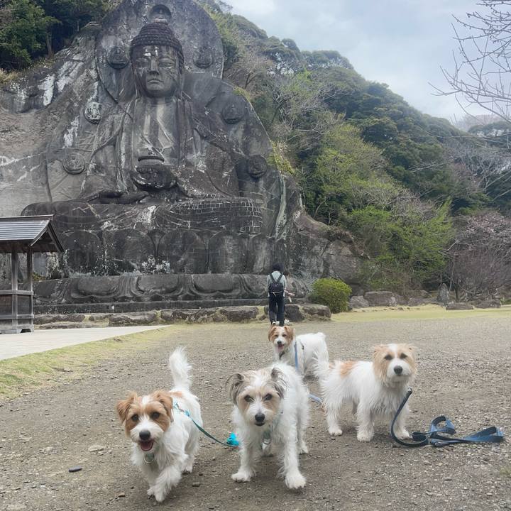 65a12993 a096 4ae5 8a3c cd52717b42e1 1774867051832