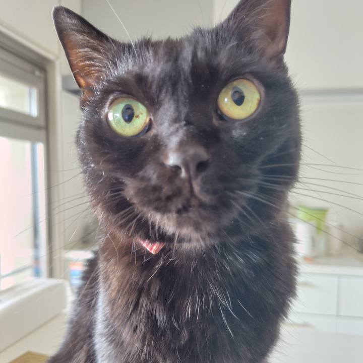 65a14cf0 7b65 414a 8371 d9b0050e2942 1718835933503