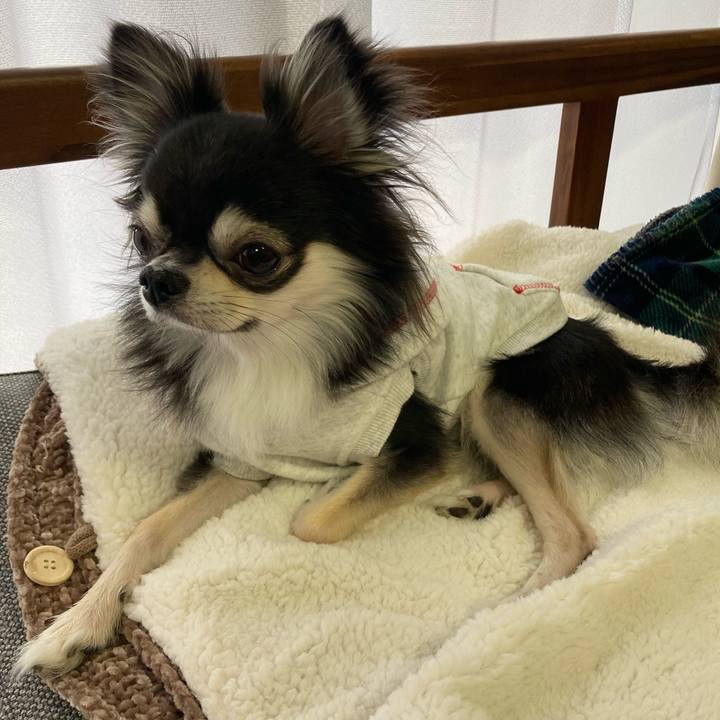 65a15e4b 670f 4893 bd8d eedd8091f30f 1645330583680