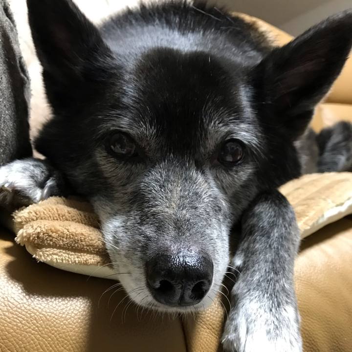 65a160e2 4f1a 4f3e 9272 87a371c2724b 1644023992363