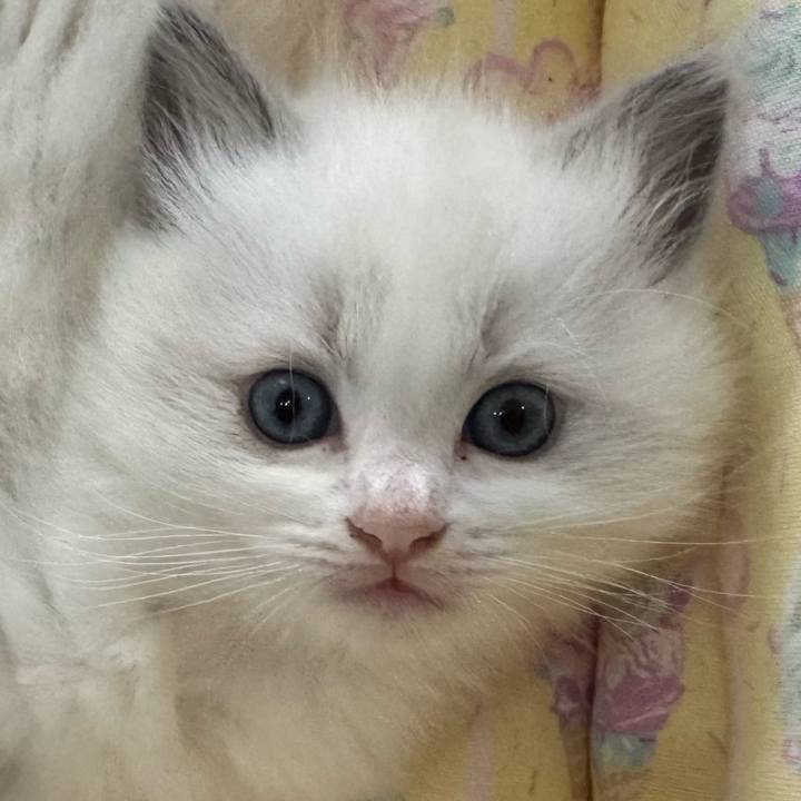 65a18491 5316 4219 9aab a58a789b50c1 1751155283129