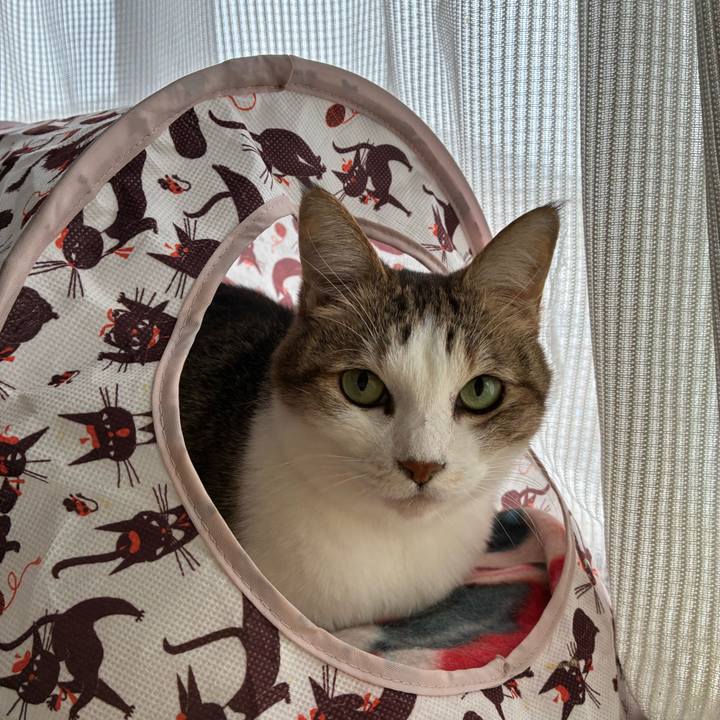 65a1b426 e53a 460d a7bb a8d8dc2e039a 1759586259415