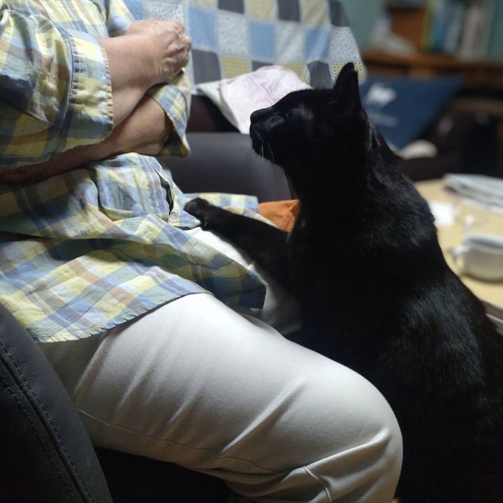 65a1c792 a743 421d 8736 b6f8f24dff72 1726396316091