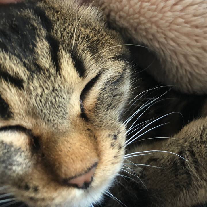 65a2278b 0ffc 4200 8710 d0d15f9d2e88 1735518136953