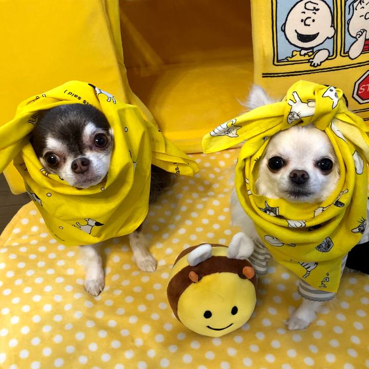 65a22cb1 6eea 44dc b71b 0f5236d272c0 1588208009515