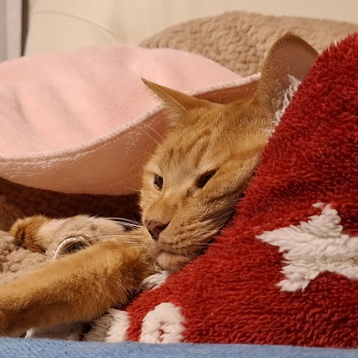 65a22d96 d452 4e2d bb8b 1785a7a94791 1734563578821