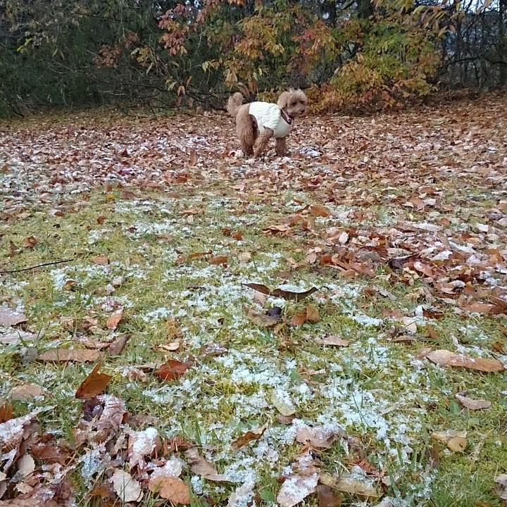 65a24700 7ef2 407b b08d 8d92c3382eee 1511140338955