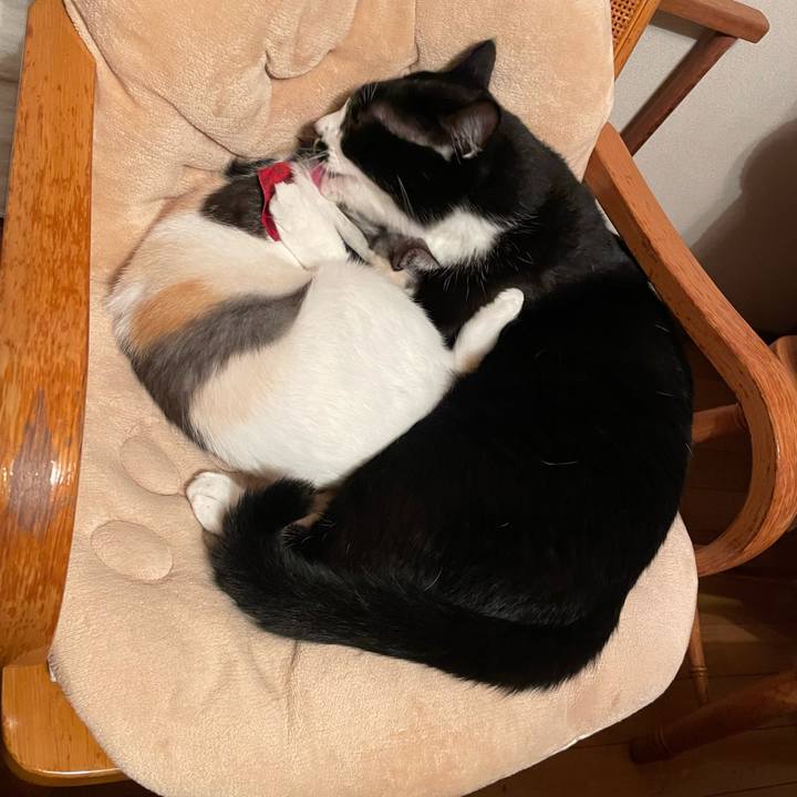 65a28fde d8ef 4213 844f b1db78e6609a 1731316696565