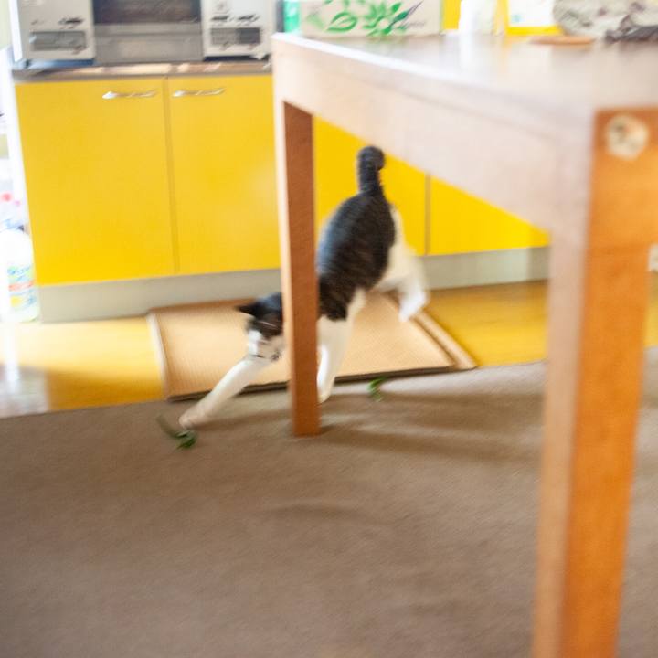 65a30f46 b434 4d92 8ae0 fd4e889f454d 1594094363550