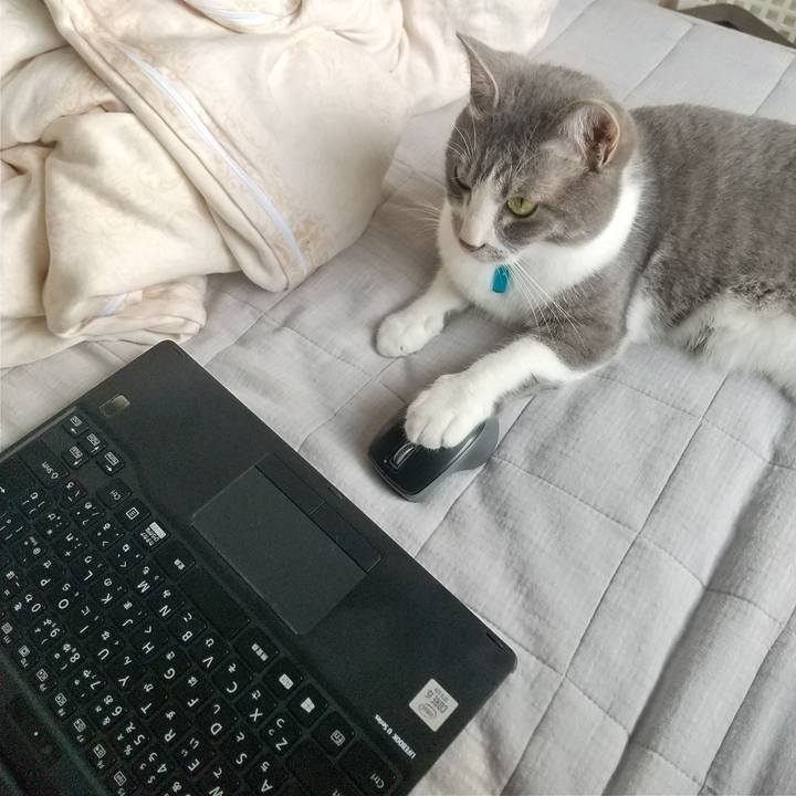 65a35476 3cd3 433e bde9 040ae5e0b68e 1624263114262