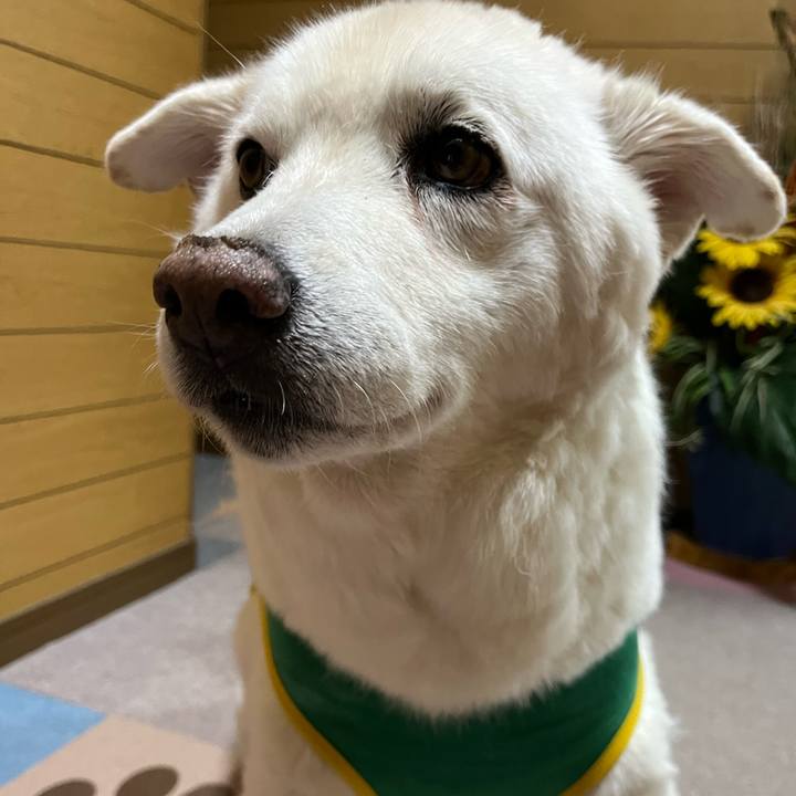 65a35b5b b52d 4922 bb93 0797531c6169 1760571000323