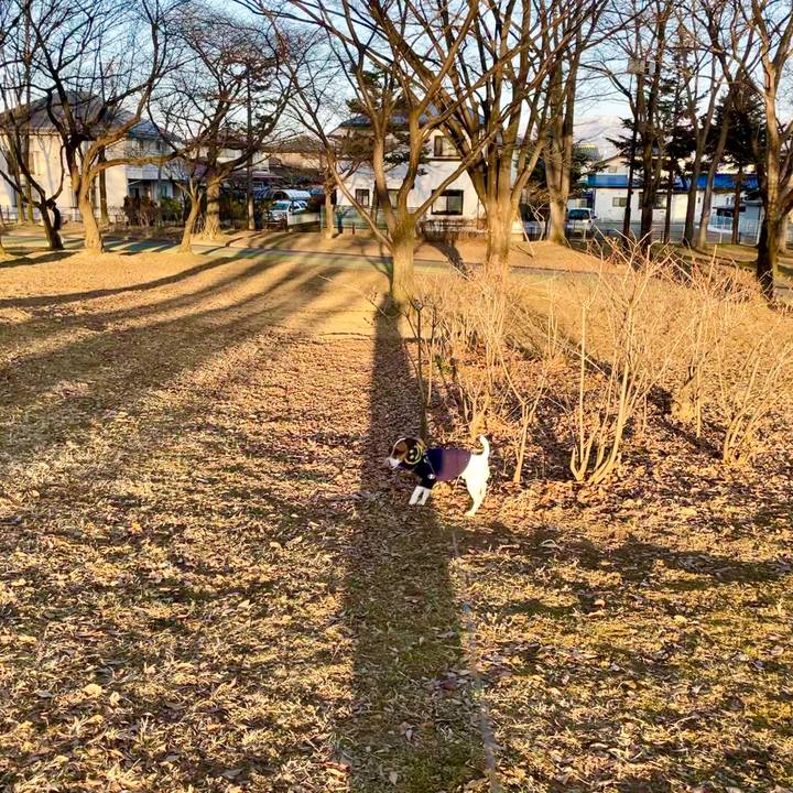 65a36926 ba51 46fa abb0 4cc94a3adad4 1646833613724