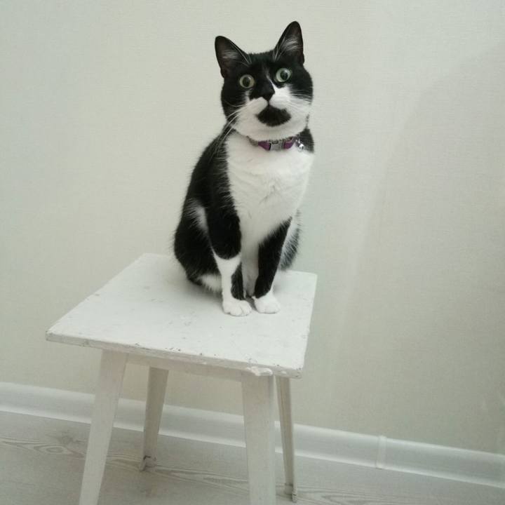 65a36b63 2321 4e73 bb01 58eee2c1e9a6 1512327803511