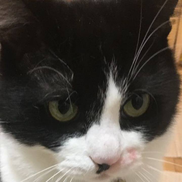 65a38386 d5dc 4dc9 bd24 95518d908aad 1544237092428