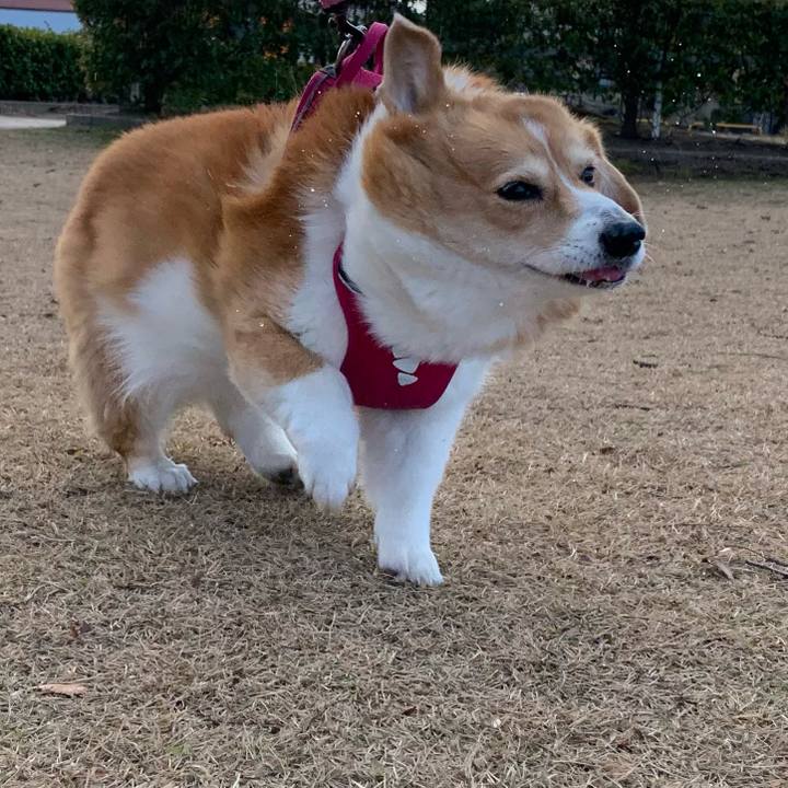 65a38a69 8d96 48cb 8d7a ff500558419e 1702869500110