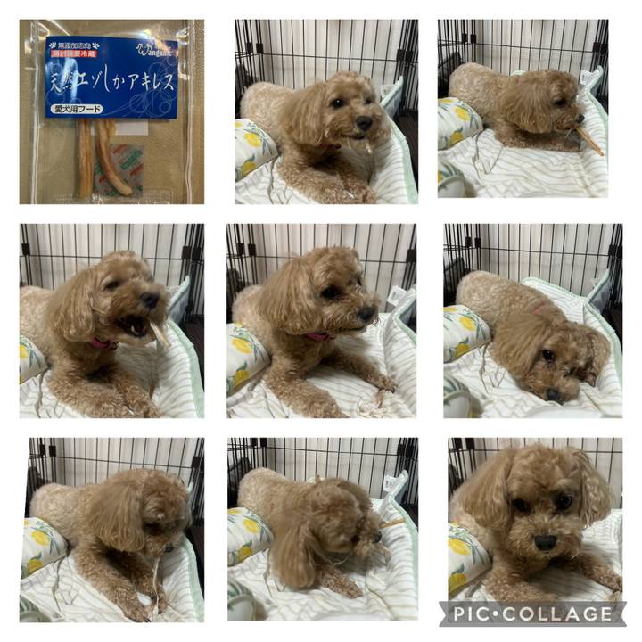 65a3c06b 0112 4b2c a40c 570fb79d9d79 1688564615889