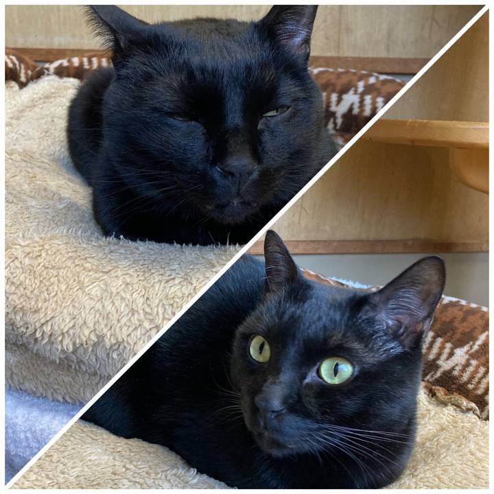 65a3d0ef 23af 4317 a595 83e35d68d511 1640076924651